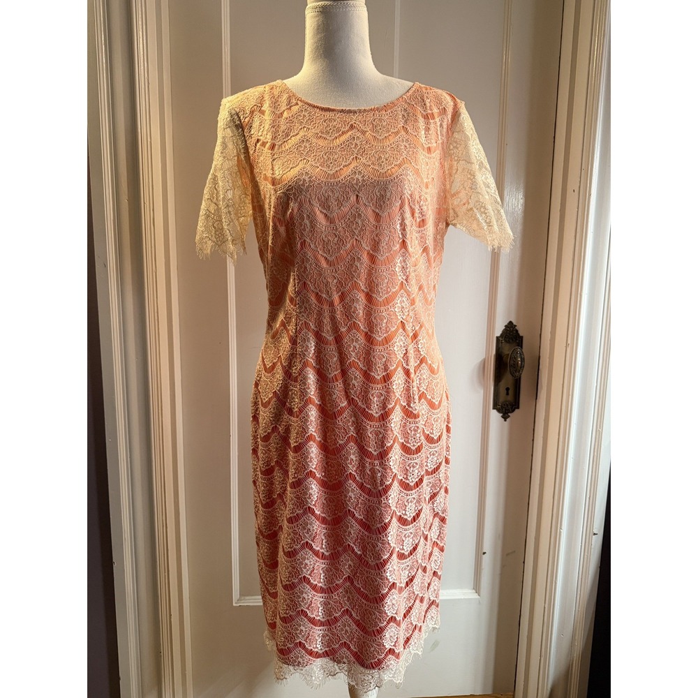 Antonio Melani Size 8 Intricate‎ Lace Balayage Peaches and Creme Cocktail Dress